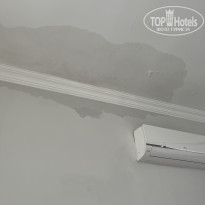 фото из отзыва ID 2723090