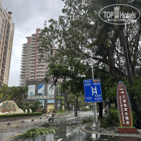 фото из отзыва ID 2723020