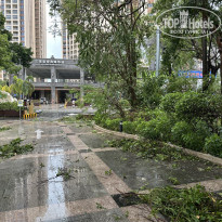 фото из отзыва ID 2723020