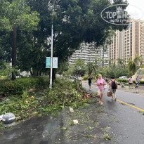 фото из отзыва ID 2723020