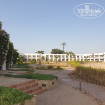 фото из отзыва ID 2722877