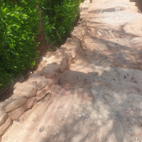 фото из отзыва ID 2722877