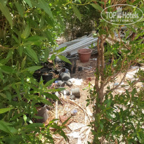 фото из отзыва ID 2722877