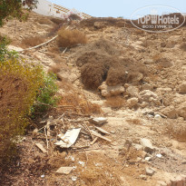 фото из отзыва ID 2722877