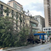 фото из отзыва ID 2723020