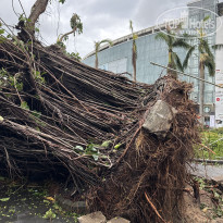 фото из отзыва ID 2723020