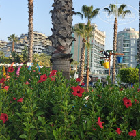 фото из отзыва ID 2723130