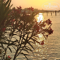 фото из отзыва ID 2723130