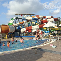 фото из отзыва ID 2723130