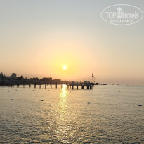 фото из отзыва ID 2723130