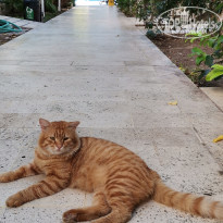 фото из отзыва ID 2723147