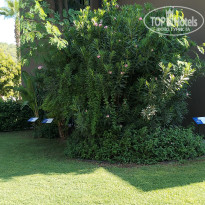 фото из отзыва ID 2723155