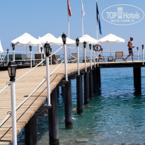 фото из отзыва ID 2723155