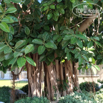 фото из отзыва ID 2723155