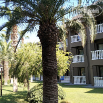 фото из отзыва ID 2723155