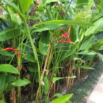 фото из отзыва ID 2723162