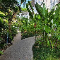 фото из отзыва ID 2723162