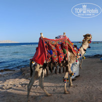 фото из отзыва ID 2723197