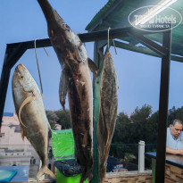 фото из отзыва ID 2723197