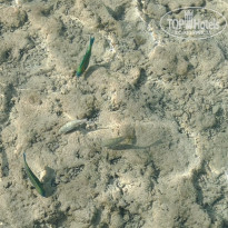 фото из отзыва ID 2723197