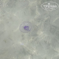 фото из отзыва ID 2723197