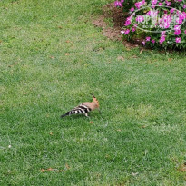 фото из отзыва ID 2723197