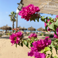 фото из отзыва ID 2723211