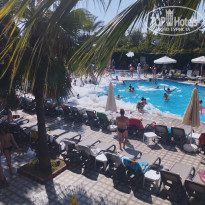 фото из отзыва ID 2723225