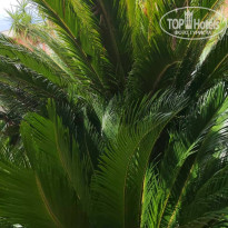 фото из отзыва ID 2723223