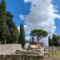 фото из отзыва ID 2723223