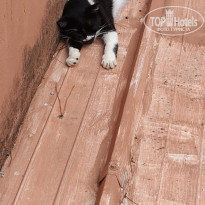 фото из отзыва ID 2723223