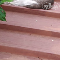 фото из отзыва ID 2723223