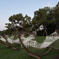 фото из отзыва ID 2723231