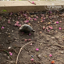 фото из отзыва ID 2723244