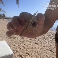 фото из отзыва ID 2723263