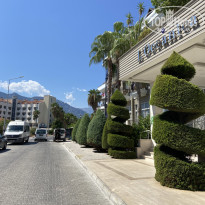 фото из отзыва ID 2723267