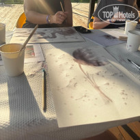 фото из отзыва ID 2723272