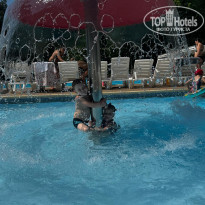 фото из отзыва ID 2723272