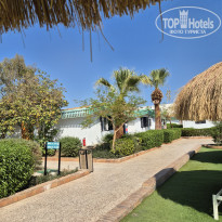 фото из отзыва ID 2723284