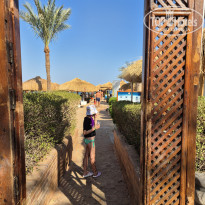 фото из отзыва ID 2723284