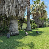 фото из отзыва ID 2723299