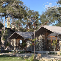 фото из отзыва ID 2723311