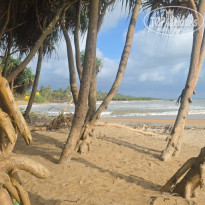 фото из отзыва ID 2723314