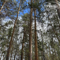 фото из отзыва ID 2723316