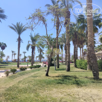 фото из отзыва ID 2723315