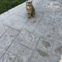 фото из отзыва ID 2723325