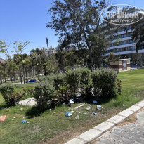 фото из отзыва ID 2723311