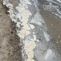 фото из отзыва ID 2723311