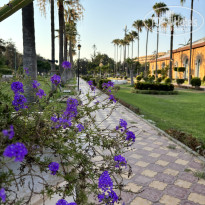 фото из отзыва ID 2723311