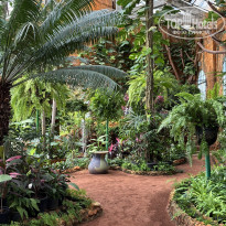 фото из отзыва ID 2723311